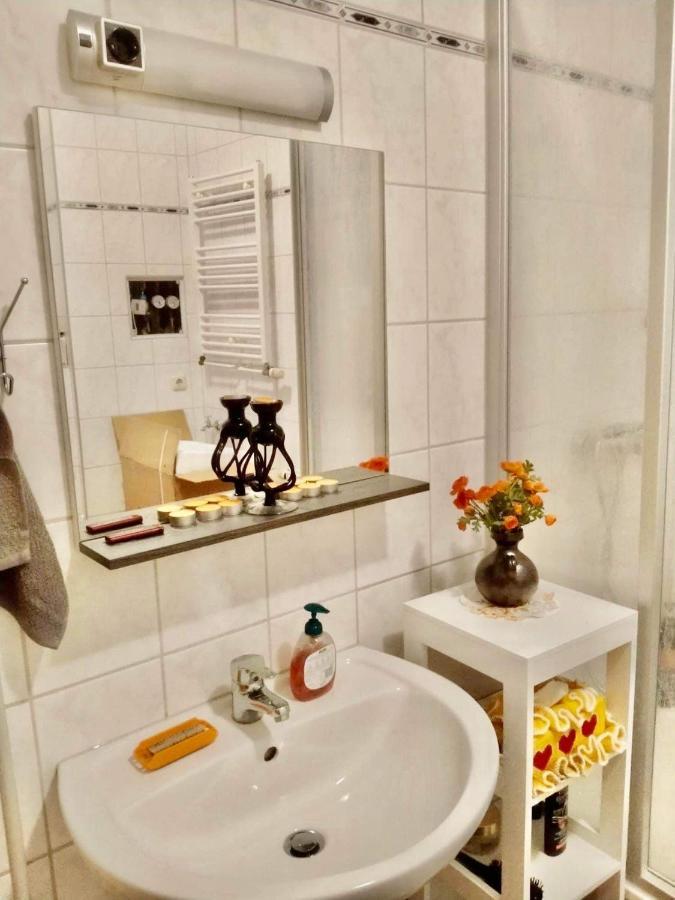 Ferienzimmer Healing Und Montuerwohnung Weissenfels Ngoại thất bức ảnh
