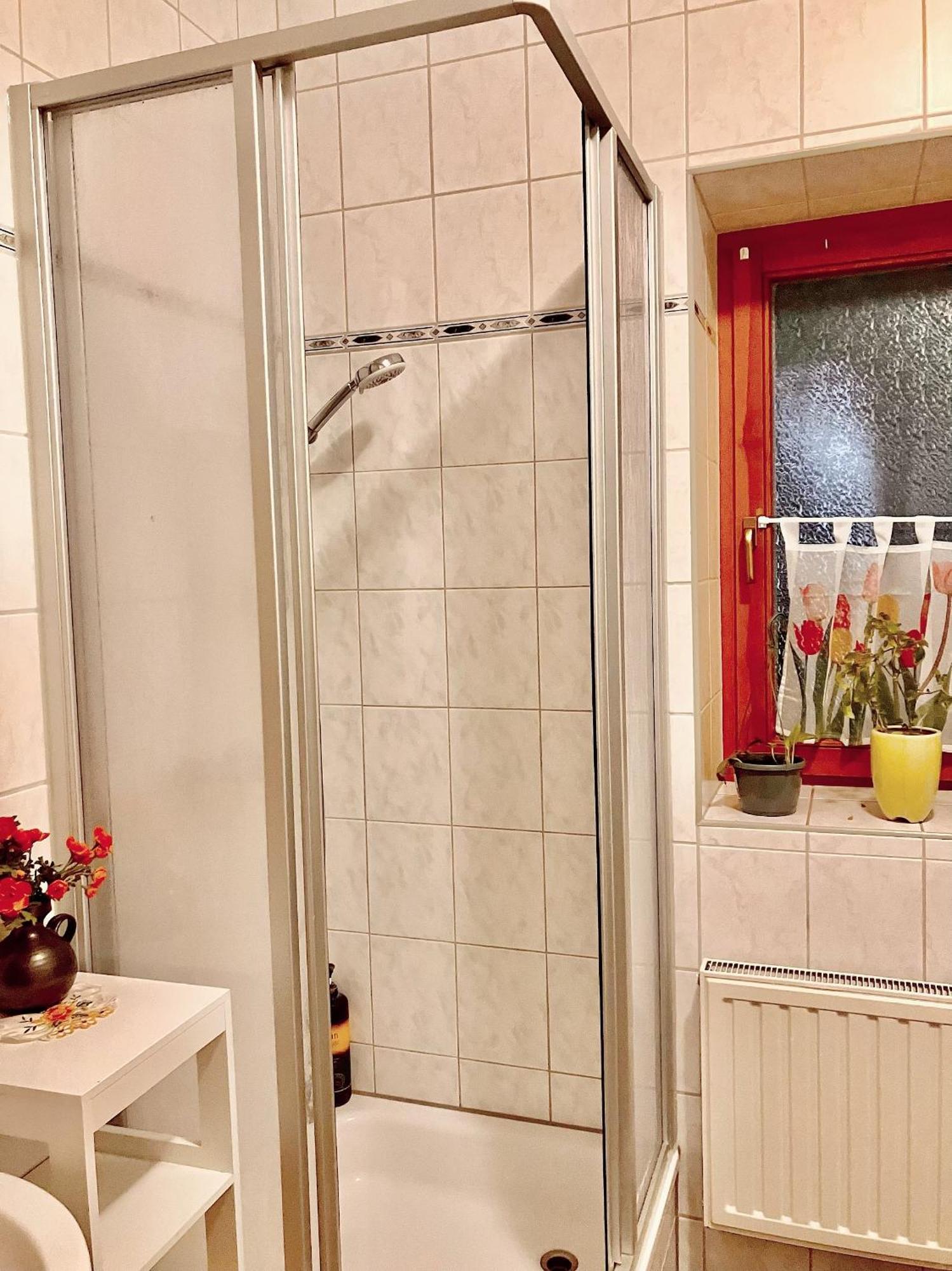 Ferienzimmer Healing Und Montuerwohnung Weissenfels Ngoại thất bức ảnh