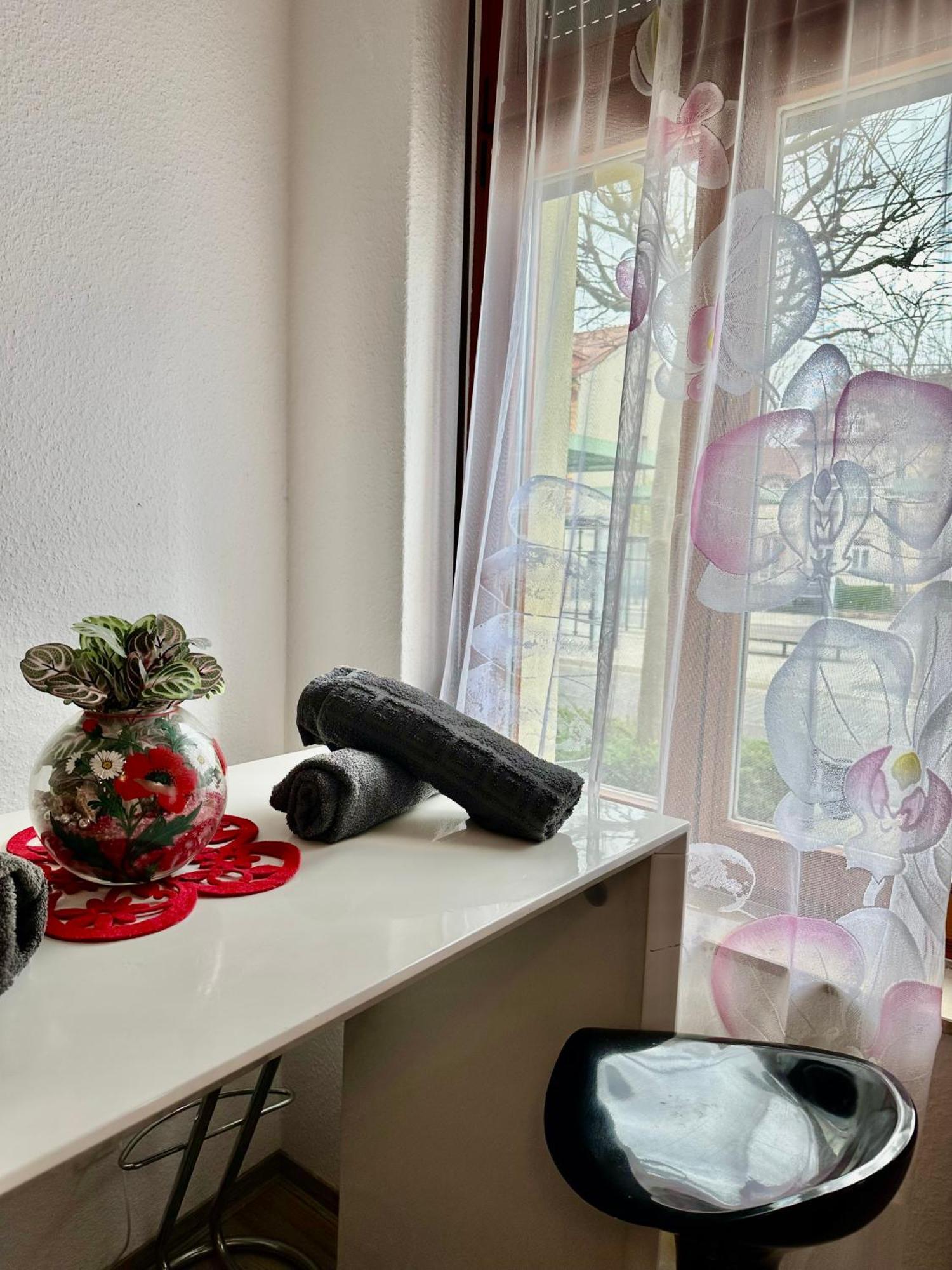 Ferienzimmer Healing Und Montuerwohnung Weissenfels Ngoại thất bức ảnh