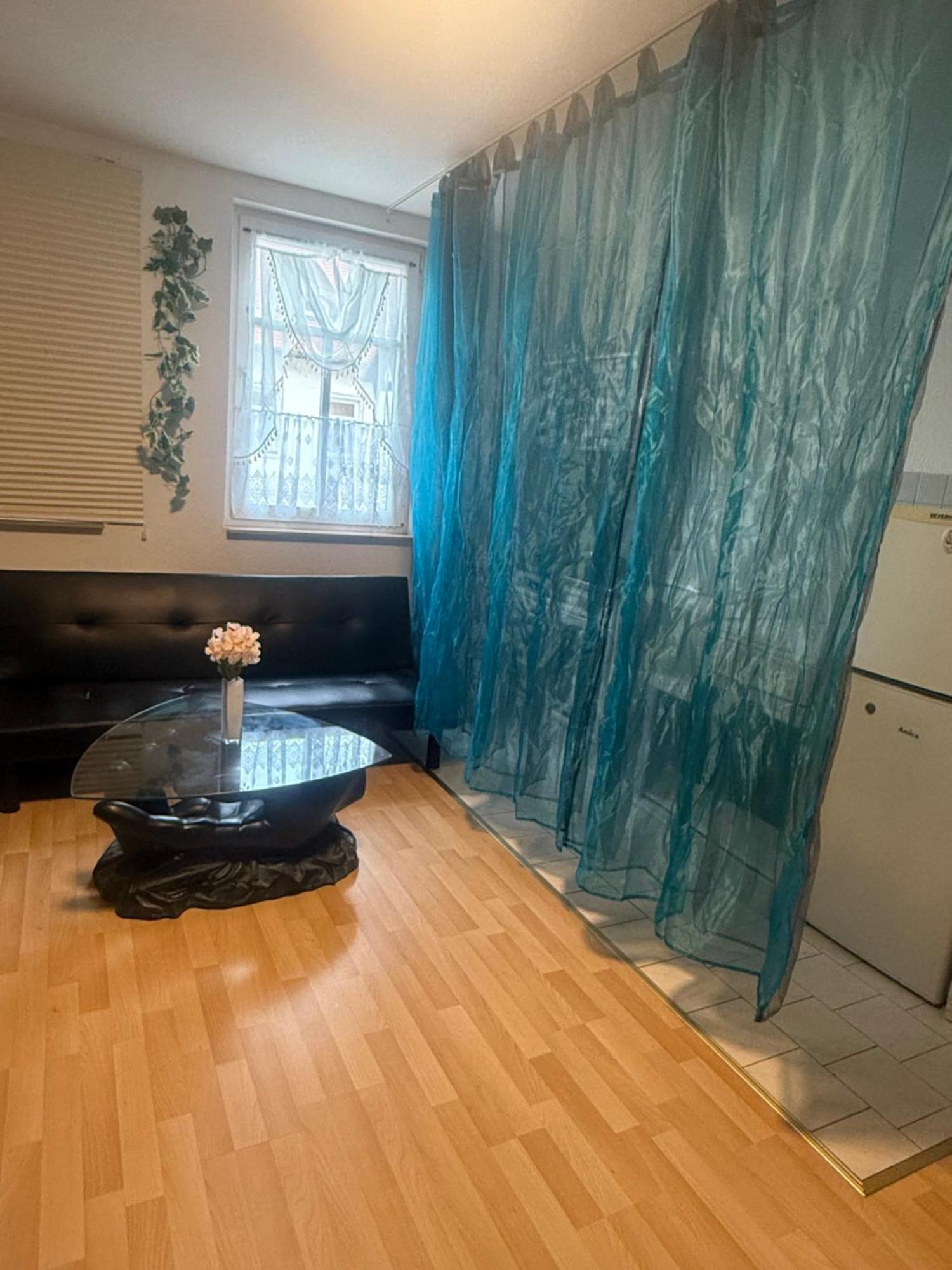 Ferienzimmer Healing Und Montuerwohnung Weissenfels Ngoại thất bức ảnh