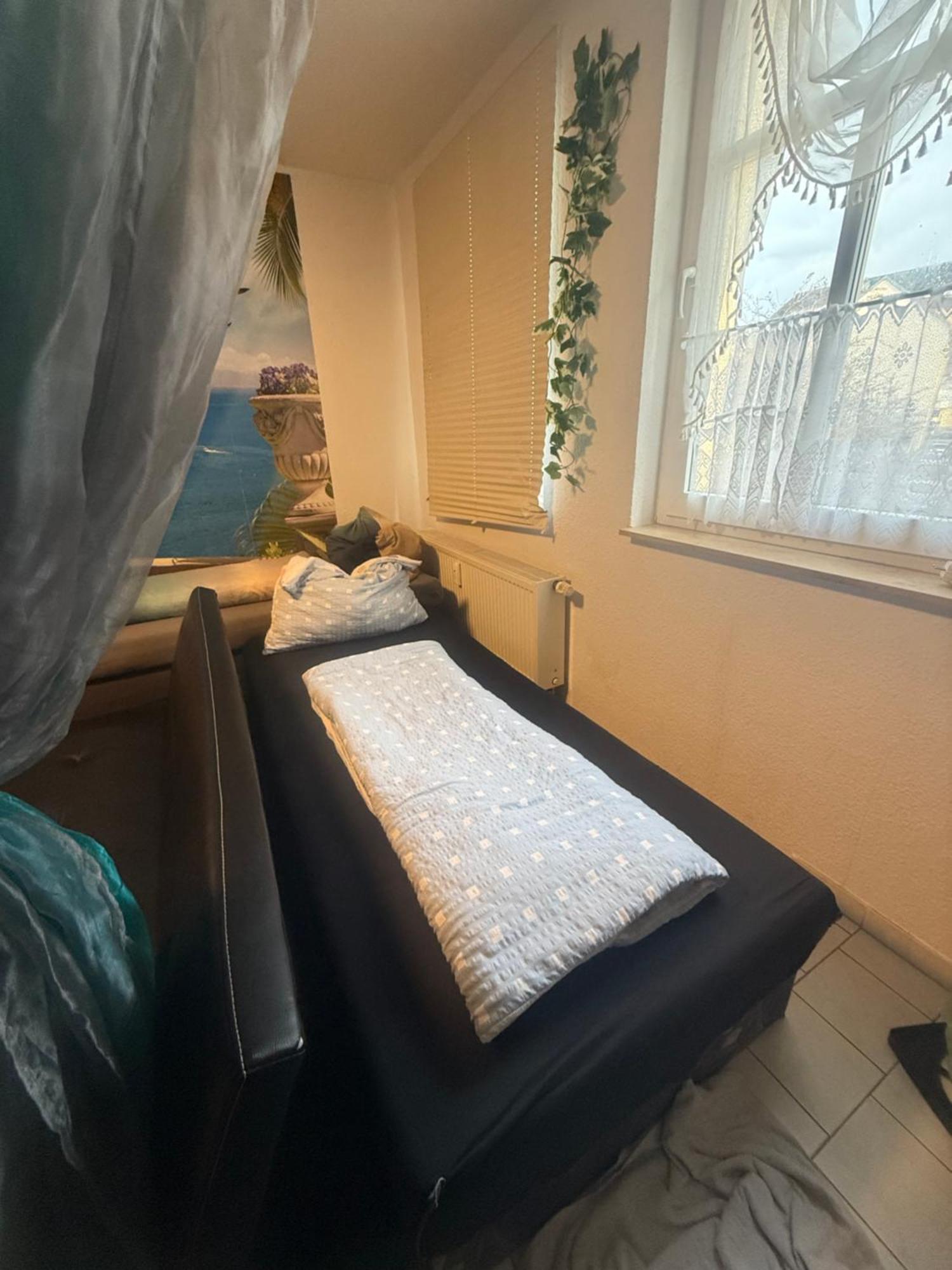 Ferienzimmer Healing Und Montuerwohnung Weissenfels Ngoại thất bức ảnh