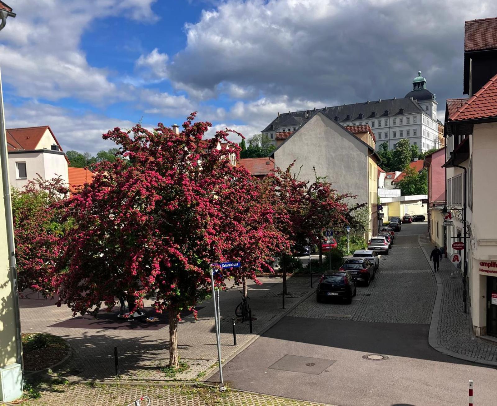Ferienzimmer Healing Und Montuerwohnung Weissenfels Ngoại thất bức ảnh